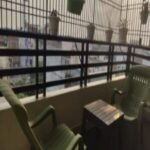 cb4c5aa6 293f 4fb9 85a1 abaf8891e89e 300x225 (1)